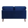 Modern Contemporary Living Room 1pc Loveseat Blue Velvet Upholstery Dark Brown Legs Solid Wood Furniture